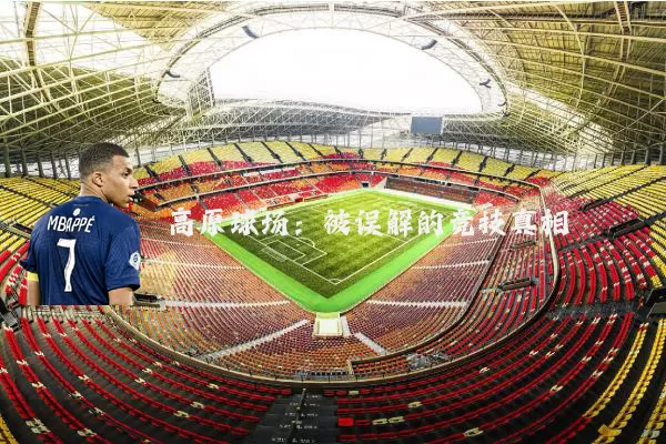 高原球场:被误解的竞技真相